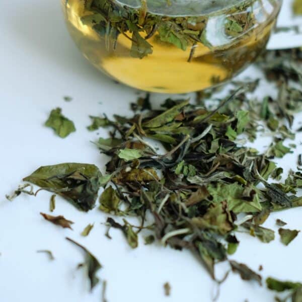 Klassieke Bai Mu Dan White Peony witte thee van Thee.be