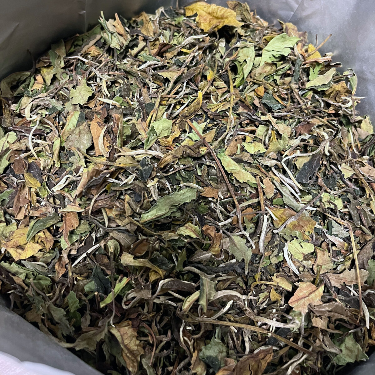 Pai Mu Tan Thee