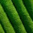 Japanse Groene Thee