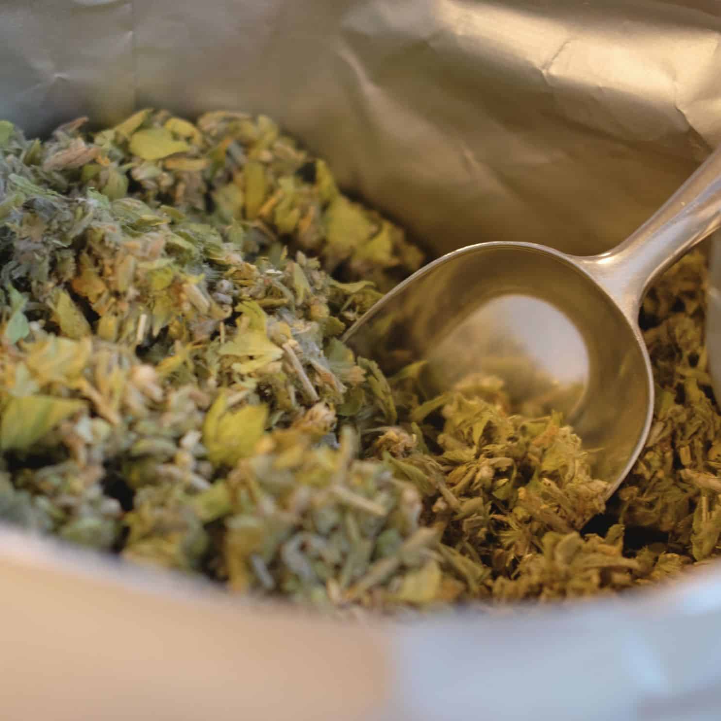 thumbnail image 2 of YouHerbIt Greek Mountain Tea – Loose Sideritis Raeseri – 750g To 1.95kg, Harvest 2025, Caffeine-Free 2 of 4