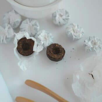 Mini Puerh Tuo Cha - Thee.be
