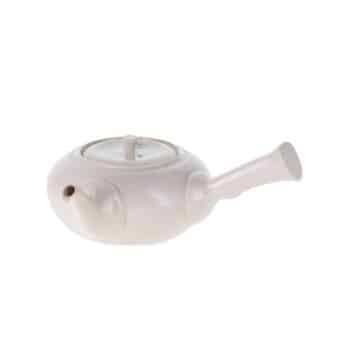 Kyusu "Beju" 360ml - Thee.be
