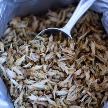 Silver Bud Ya Bao JADE - Thee.be