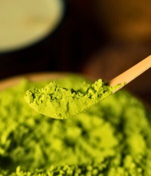 Ceremonial Ujicha matcha jade