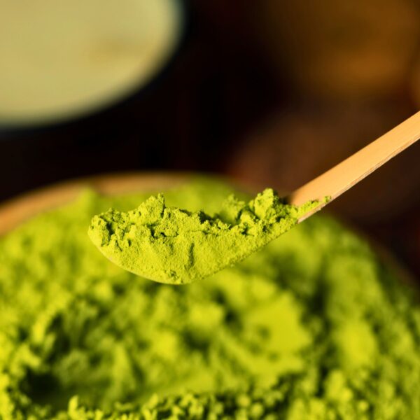 Ceremonial Ujicha matcha jade