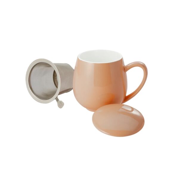 Abrikoos theetas met filter en deksel 350ml